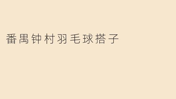 番禺钟村羽毛球搭子