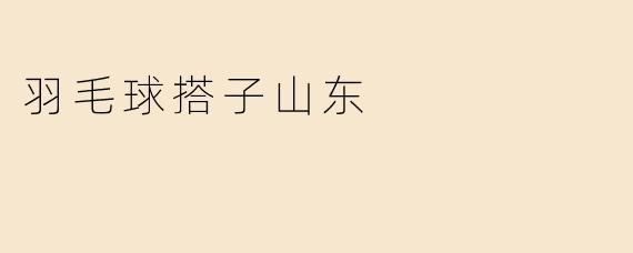 羽毛球搭子山东