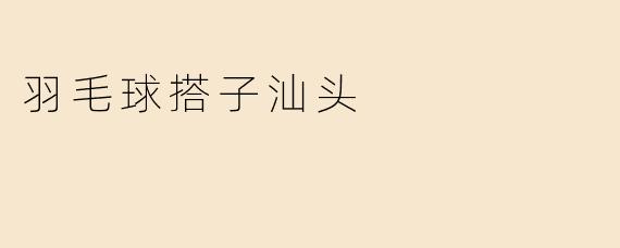 羽毛球搭子汕头