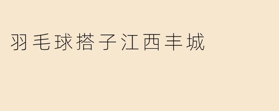 羽毛球搭子江西丰城