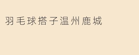 羽毛球搭子温州鹿城