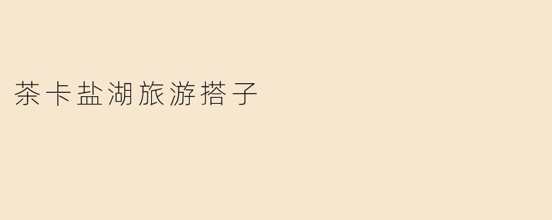 茶卡盐湖旅游搭子