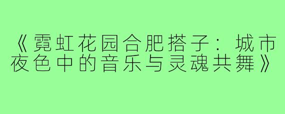 《霓虹花园合肥搭子：城市夜色中的音乐与灵魂共舞》