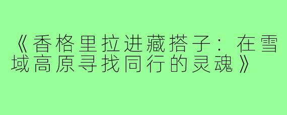 《香格里拉进藏搭子:在雪域高原寻找同行的灵魂》
