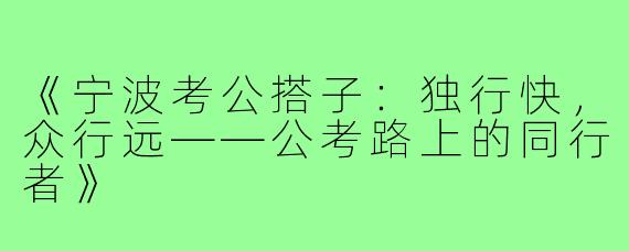 《宁波考公搭子：独行快，众行远——公考路上的同行者》