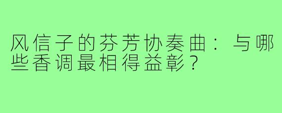 风信子的芬芳协奏曲:与哪些香调最相得益彰?