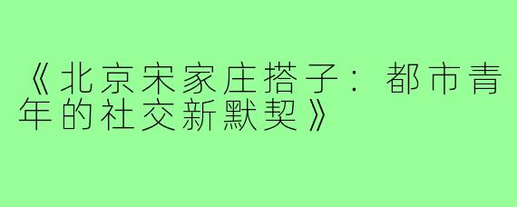 《北京宋家庄搭子:都市青年的社交新默契》