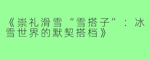 《崇礼滑雪“雪搭子”:冰雪世界的默契搭档》