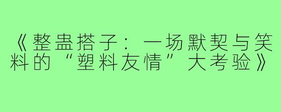 《整蛊搭子：一场默契与笑料的“塑料友情”大考验》