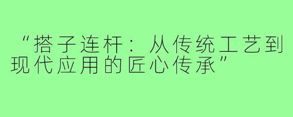“搭子连杆：从传统工艺到现代应用的匠心传承”