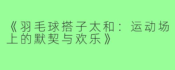 《羽毛球搭子太和:运动场上的默契与欢乐》