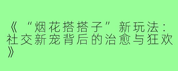 《“烟花搭搭子”新玩法:社交新宠背后的治愈与狂欢》