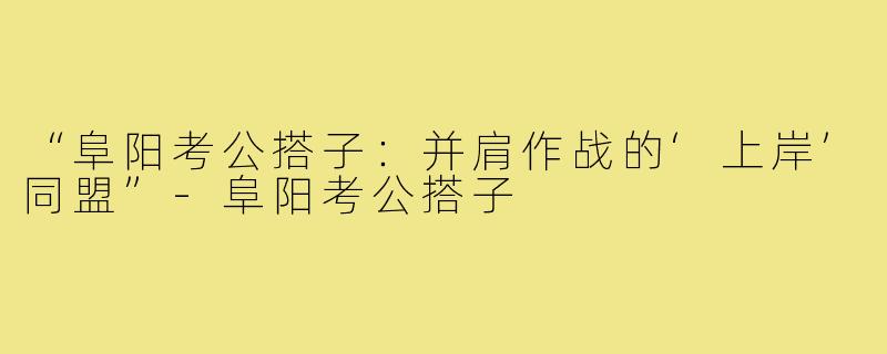 “阜阳考公搭子：并肩作战的‘上岸’同盟”-阜阳考公搭子