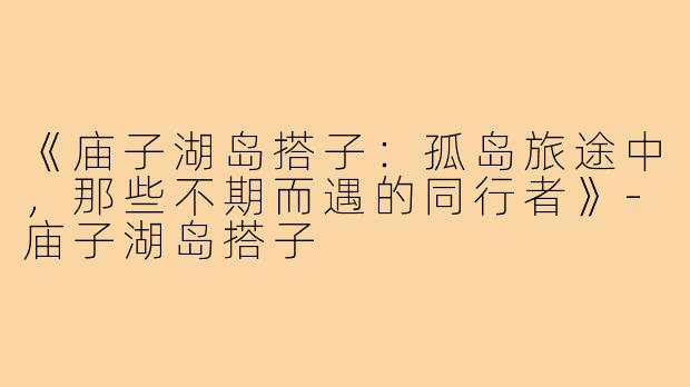 《庙子湖岛搭子：孤岛旅途中，那些不期而遇的同行者》-庙子湖岛搭子