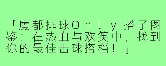 「魔都排球Only搭子图鉴：在热血与欢笑中，找到你的最佳击球搭档！」