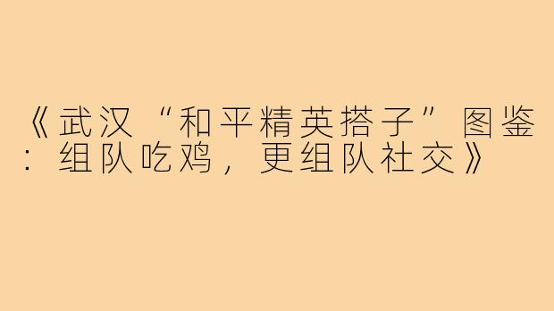 《武汉“和平精英搭子”图鉴：组队吃鸡，更组队社交》
