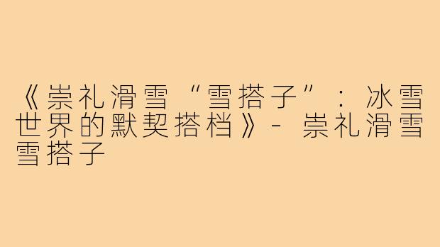 《崇礼滑雪“雪搭子”:冰雪世界的默契搭档》-崇礼滑雪雪搭子