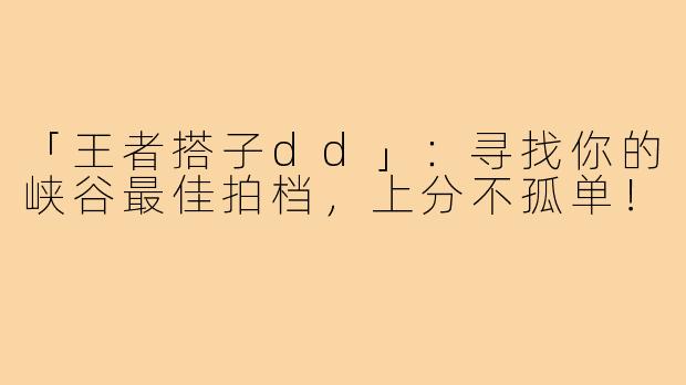 「王者搭子dd」：寻找你的峡谷最佳拍档，上分不孤单！