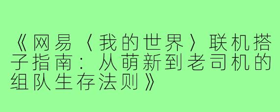 《网易〈我的世界〉联机搭子指南：从萌新到老司机的组队生存法则》