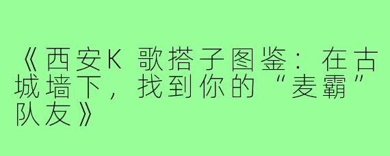 《西安K歌搭子图鉴：在古城墙下，找到你的“麦霸”队友》