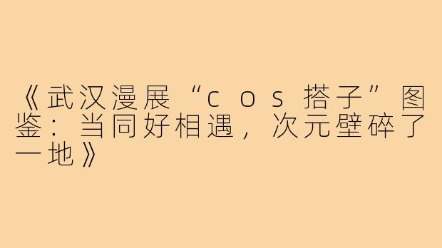 《武汉漫展“cos搭子”图鉴：当同好相遇，次元壁碎了一地》