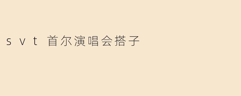 svt首尔演唱会搭子