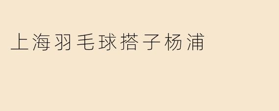 上海羽毛球搭子杨浦