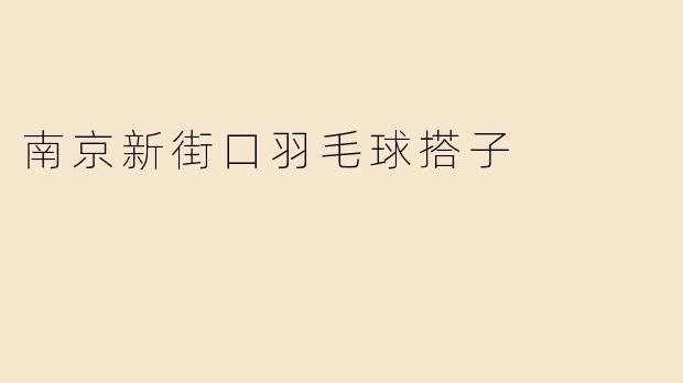 南京新街口羽毛球搭子