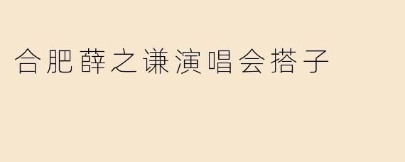合肥薛之谦演唱会搭子