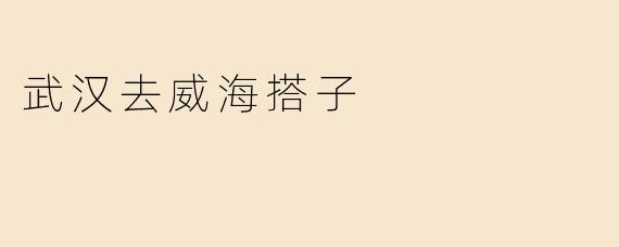 武汉去威海搭子