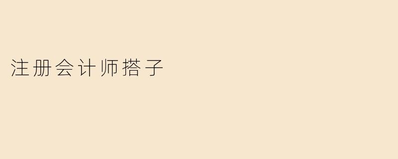 注册会计师搭子