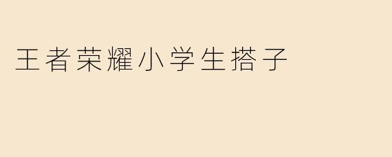 王者荣耀小学生搭子