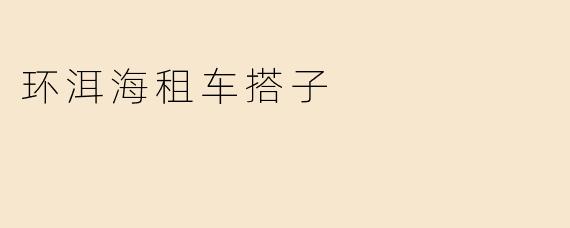 环洱海租车搭子