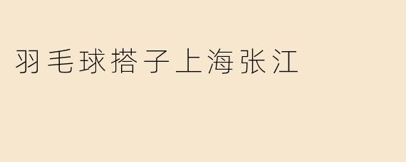 羽毛球搭子上海张江