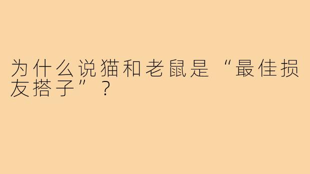 为什么说猫和老鼠是“最佳损友搭子”？