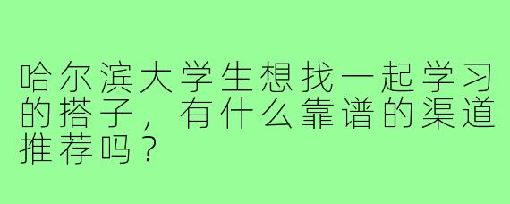 哈尔滨大学生想找一起学习的搭子,有什么靠谱的渠道推荐吗?