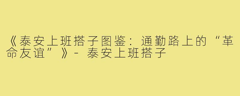 《泰安上班搭子图鉴：通勤路上的“革命友谊”》