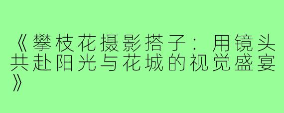 《攀枝花摄影搭子：用镜头共赴阳光与花城的视觉盛宴》