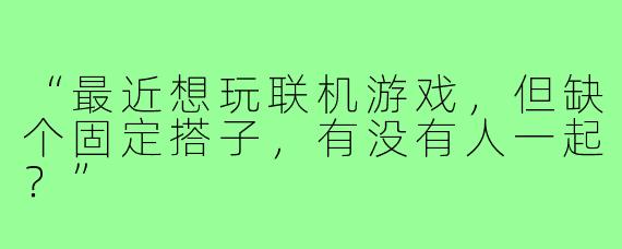 “最近想玩联机游戏，但缺个固定搭子，有没有人一起？”