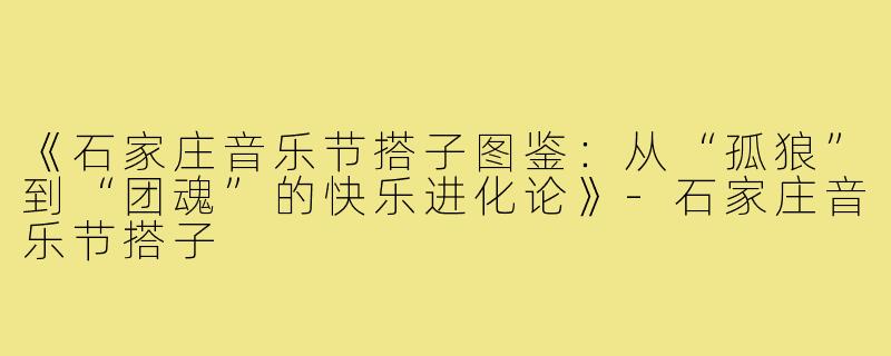 《石家庄音乐节搭子图鉴：从“孤狼”到“团魂”的快乐进化论》-石家庄音乐节搭子