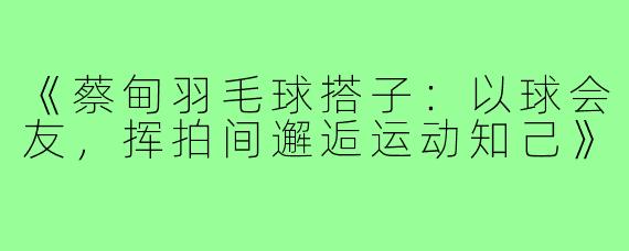 《蔡甸羽毛球搭子:以球会友,挥拍间邂逅运动知己》