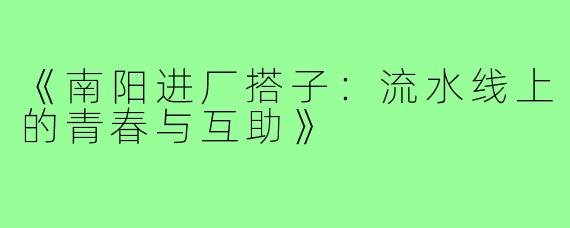 《南阳进厂搭子:流水线上的青春与互助》