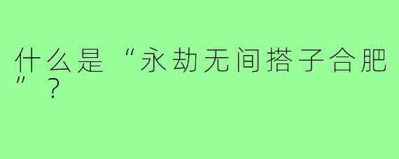 什么是“永劫无间搭子合肥”?