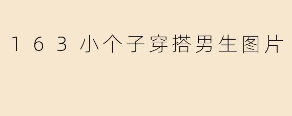 哪里可以找到适合163cm小个子男生的穿搭参考图片？