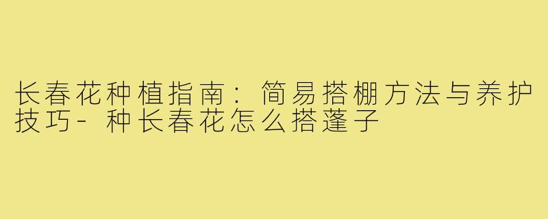 长春花种植指南：简易搭棚方法与养护技巧