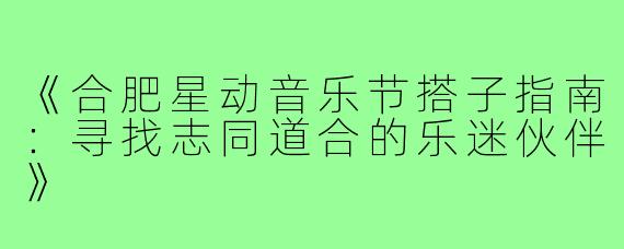 《合肥星动音乐节搭子指南：寻找志同道合的乐迷伙伴》