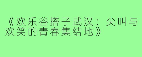 《欢乐谷搭子武汉：尖叫与欢笑的青春集结地》