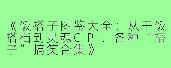 《饭搭子图鉴大全：从干饭搭档到灵魂CP，各种“搭子”搞笑合集》
