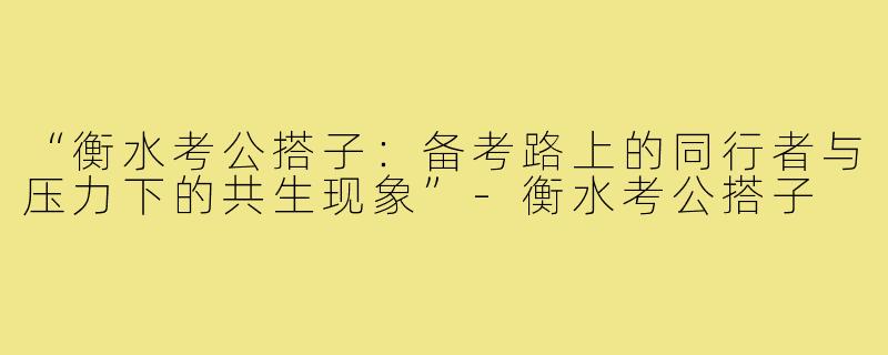 “衡水考公搭子：备考路上的同行者与压力下的共生现象”-衡水考公搭子