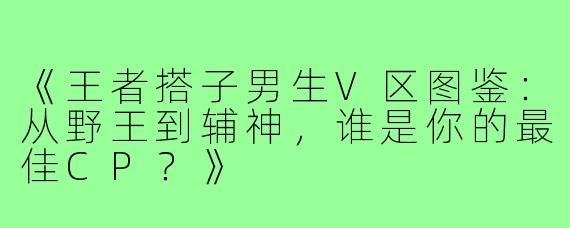 《王者搭子男生V区图鉴：从野王到辅神，谁是你的最佳CP？》